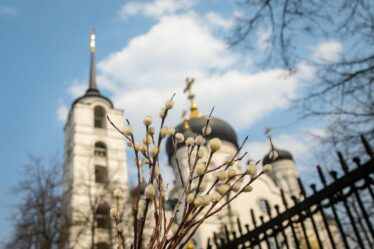 Почему Вербное воскресенье? Викторина