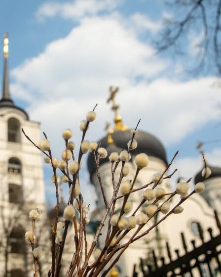 Почему Вербное воскресенье? Викторина